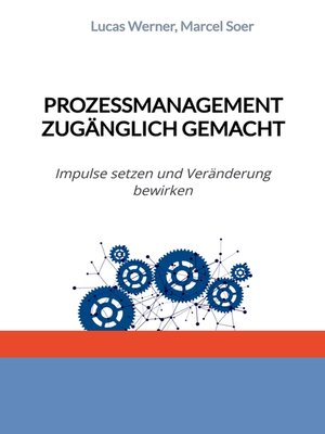 cover image of Prozessmanagement zugänglich gemacht